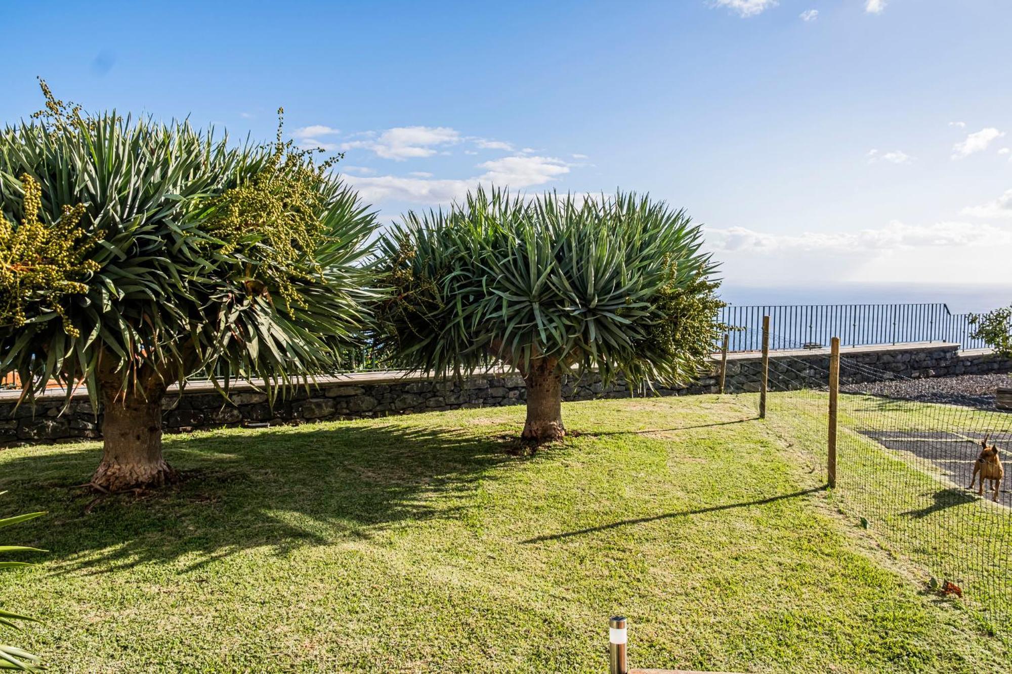 Namaste House II Apartman Funchal  Kültér fotó